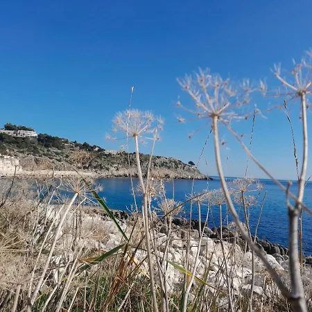 El Paso Castro (Lecce)